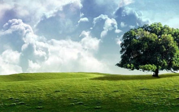 Neither Now, Nor in the Future Should Our Friends Have Any Ambition for Government Neither Now, Nor in the Future Should Our Friends Have Any Ambition for Government