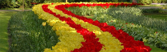 Women in Islam: Fethullah Gülen’s Perspective Women in Islam: Fethullah Gülen’s Perspective