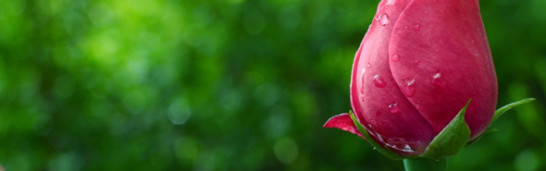 An analysis of Gülen’s Humanism An analysis of Gülen’s Humanism