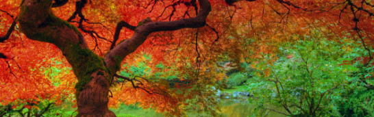 Changes in Gülen’s thinking regarding his worldview Changes in Gülen’s thinking regarding his worldview