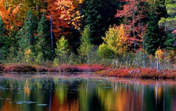 Are we doing enough to save the environment? Are we doing enough to save the environment?