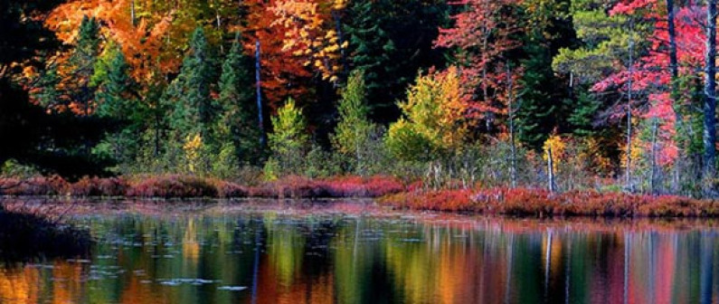 Are we doing enough to save the environment? Are we doing enough to save the environment?