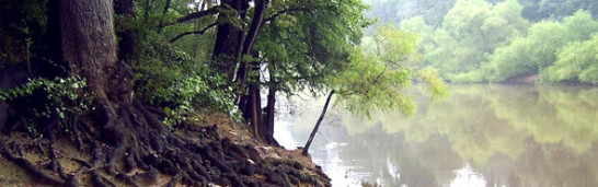 Fethullah Gülen’s Educational Philosophy Fethullah Gülen’s Educational Philosophy