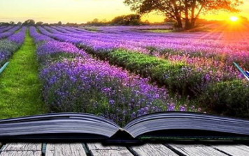 The Life of Fethullah Gülen: Highlights from His Education The Life of Fethullah Gülen: Highlights from His Education