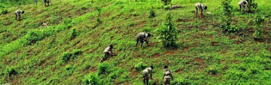 The educator and the school in Fethullah Gülen’s educational model The educator and the school in Fethullah Gülen’s educational model