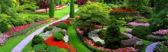 What is Fethullah Gülen’s position in the movement? What is Fethullah Gülen’s position in the movement?