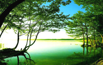 Fethullah Gülen’s sufi solution to tolerance and interfaith dialogue Fethullah Gülen’s sufi solution to tolerance and interfaith dialogue