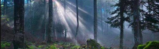 Consultation and Human Rights as Key Directions of Political Reforms in Fethullah Gulen’s thought system Consultation and Human Rights as Key Directions of Political Reforms in Fethullah Gulen’s thought system