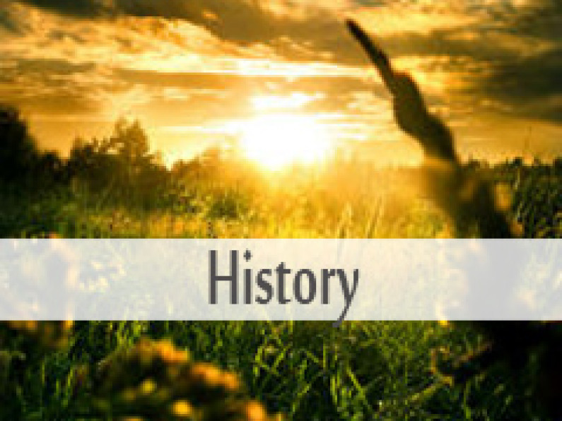 Brief History of the Gülen Movement Brief History of the Gülen Movement