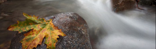 A Communitarian Imperative: Fethullah Gulen’s Model of Modern Turkey A Communitarian Imperative: Fethullah Gulen’s Model of Modern Turkey