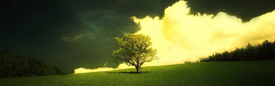 The meaning of life in Gülen’s philosophy The meaning of life in Gülen’s philosophy