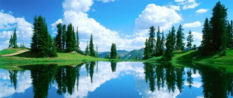 An analysis of the Gülen inspired media and publications An analysis of the Gülen inspired media and publications