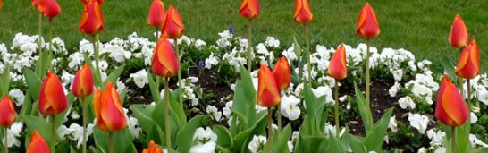 Do some people oppose Gülen movement? Do some people oppose Gülen movement?