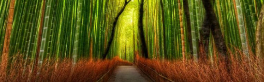 Sacred, Secular, Twin Tolerations and the Gülen Movement Sacred, Secular, Twin Tolerations and the Gülen Movement