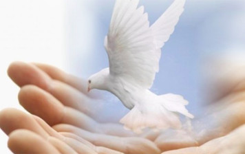 What is the Hizmet movement? What is the Hizmet movement?