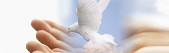 What is the Hizmet movement? What is the Hizmet movement?