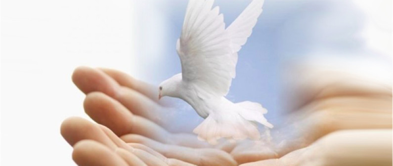What is the Hizmet movement? What is the Hizmet movement?
