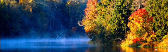 What are the basic principles of the Gülen Movement? What are the basic principles of the Gülen Movement?