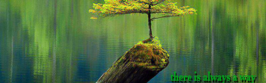 Fethullah Gülen’s strategy: realization of potential in a non-reactive way Fethullah Gülen’s strategy: realization of potential in a non-reactive way