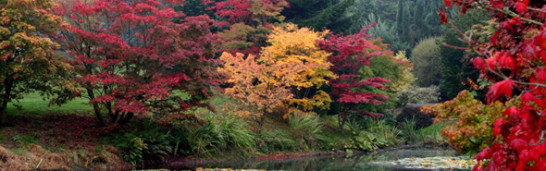 Gülen’s Notion of Hizmet and Public Good: From a Strategy to an Action Plan Gülen’s Notion of Hizmet and Public Good: From a Strategy to an Action Plan