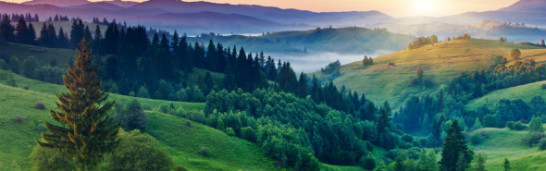 Gulen Movement, civilian governments and the AK Party Gulen Movement, civilian governments and the AK Party