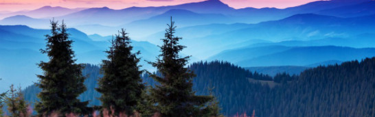 Establishment of the Educator–Parent–Sponsor Relationship in Gülen’s Educational Philosophy Establishment of the Educator–Parent–Sponsor Relationship in Gülen’s Educational Philosophy