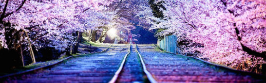 Fethullah Gulen’s understanding of dialogue Fethullah Gulen’s understanding of dialogue