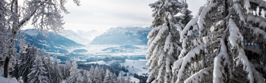 Four criticisms directed to the Gülen movement Four criticisms directed to the Gülen movement