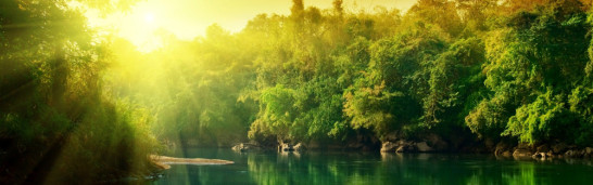 Accept everyone for who they are and show respect Accept everyone for who they are and show respect