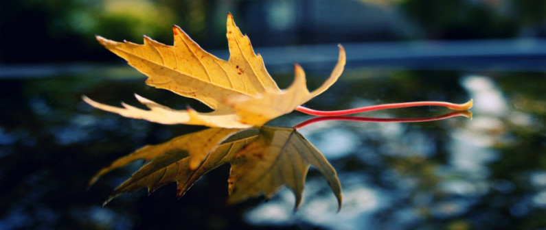 “The Characteristics of a Believer” by Fethullah Gulen