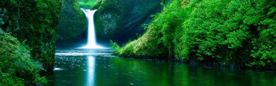 Fethullah Gülen: Our method against “hostility” Fethullah Gülen: Our method against “hostility”