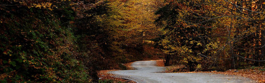 New Islamic movements and amodern networks: The case of the Gülen movement New Islamic movements and amodern networks: The case of the Gülen movement