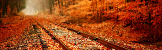 Criticisms of the Gülen Movement Criticisms of the Gülen Movement