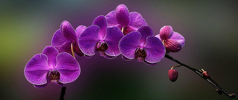 Civil Islam and Democratic Modernity in Gülen’s thought Civil Islam and Democratic Modernity in Gülen’s thought