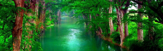 Sufism and its origins (by Fethullah Gulen) Sufism and its origins (by Fethullah Gulen)