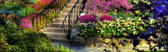 People of Hizmet (service) in Fethullah Gulen’s thinking People of Hizmet (service) in Fethullah Gulen’s thinking