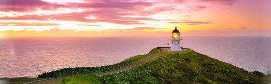 Muslims Must Combat the Extremist Cancer Muslims Must Combat the Extremist Cancer