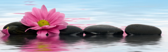 Can religion and politics have common goals, work together and overlap in Gulen’s opinion? Can religion and politics have common goals, work together and overlap in Gulen’s opinion?