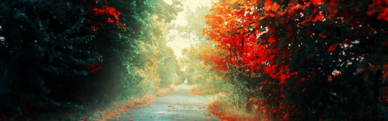 The Gülen Movement’s ‘Turkishness’ The Gülen Movement’s ‘Turkishness’