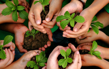 Confidence and Trust in Gülen-Inspired Projects Confidence and Trust in Gülen-Inspired Projects