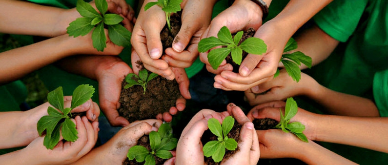 Confidence and Trust in Gülen-Inspired Projects Confidence and Trust in Gülen-Inspired Projects