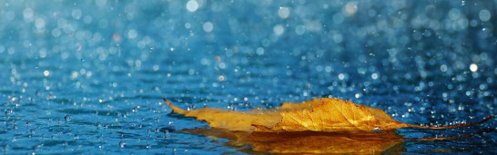 Submission vs. Sense and Reason Submission vs. Sense and Reason