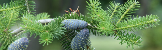 True Life and True Humanity True Life and True Humanity