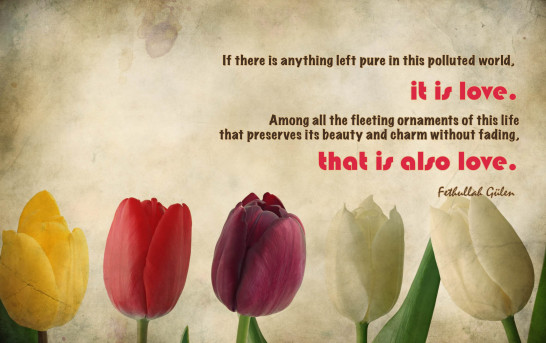If there is anything left pure in this polluted world, it is love
