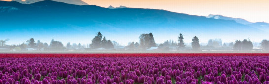 Rumi and Gülen’s Main Message and Acceptance of the Other Rumi and Gülen’s Main Message and Acceptance of the Other