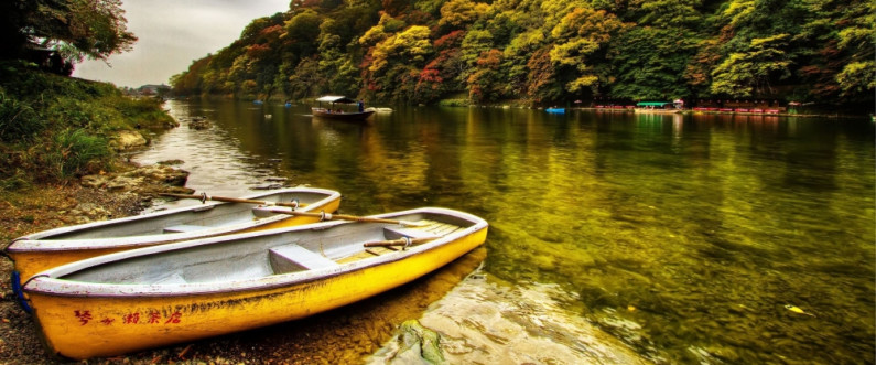 The Gülen Movement in Germany and France The Gülen Movement in Germany and France