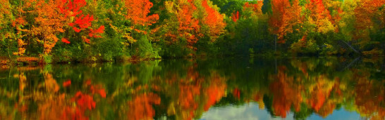 Gulen’s new book: “Muslims’ Responsibility in Countering Violence” Gulen’s new book: “Muslims’ Responsibility in Countering Violence”