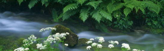 Gülen flatly rejects the totalizing ideology of Islamism Gülen flatly rejects the totalizing ideology of Islamism