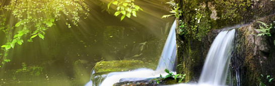 Gülen on Secularism, Democracy and the Rule of Law Gülen on Secularism, Democracy and the Rule of Law