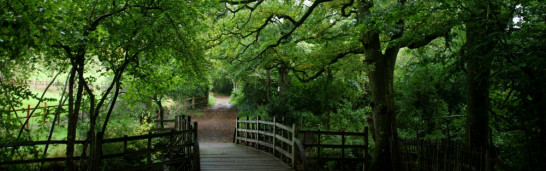 The Intellectual Shaping of Fethullah Gülen The Intellectual Shaping of Fethullah Gülen